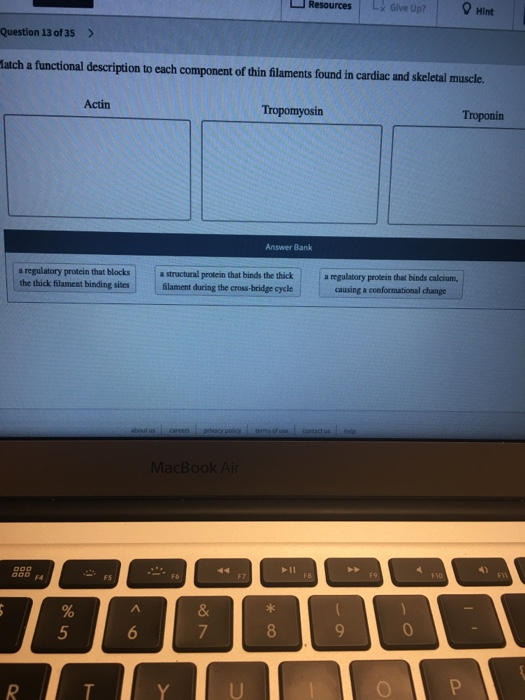 Resources Lx Give Up? Hint Question 13 of 35 > Match a functional description to each component of thin filaments found in ca