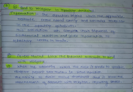5 Bind to receptor in olactos dendrites Explanation - The olfaction begins when the diffusible molecule enters nasal cavity a