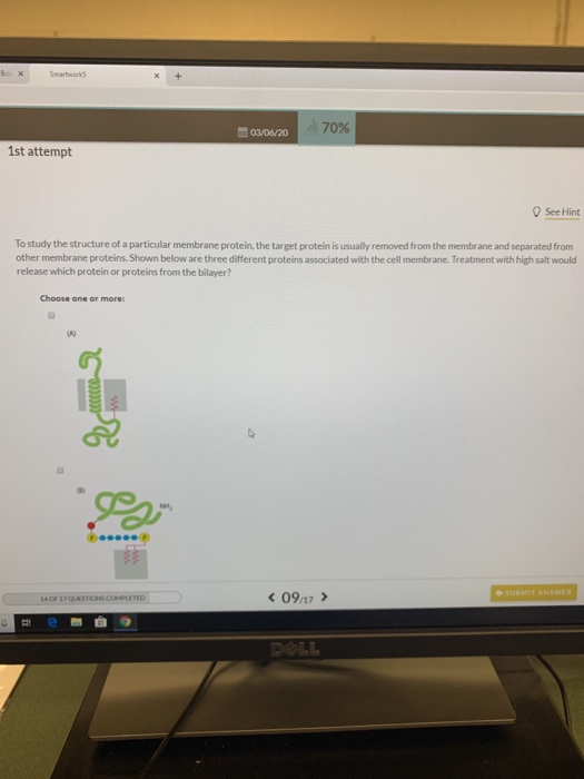 Box Smartwork 03/06/20 70% 1st attempt See Hint To study the structure of a particular membrane protein, the target protein i