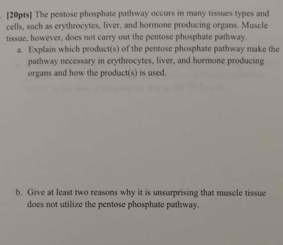 [20pts] The pentose phosphate pathway occurs in many tissues types and cells, such as erythrocytes, liver, and hormone produc