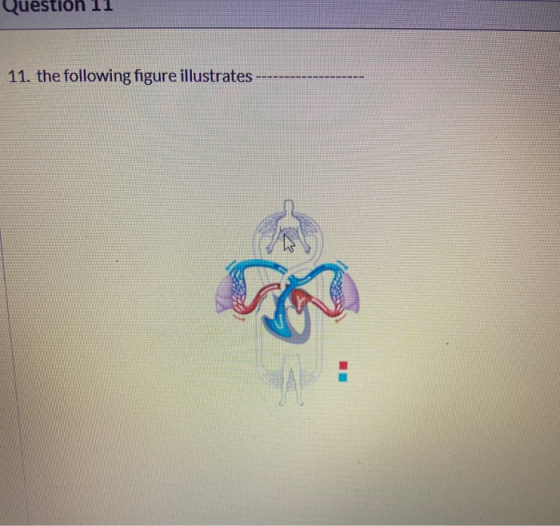 Question 11 11. the following figure illustrates