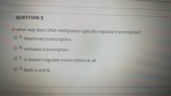 QUESTION 5 In what way does DNA methylation typically regulate transcription? A. Represses transcription. B. Activates transc