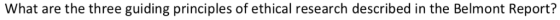 What are the three guiding principles of ethical research described in the Belmont Report?