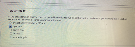 QUESTION 12 In the breakdown of glucose, the compound formed after two phosphorylation reactions is split into two three-carb