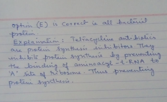 Petini gtaai