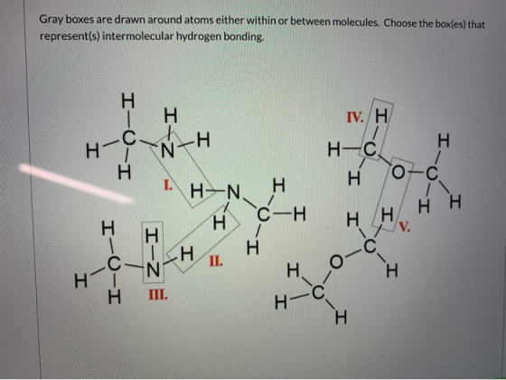 Gray boxes are drawn around atoms either within or between molecules. Choose the box(es) that represent(s) intermolecular hyd