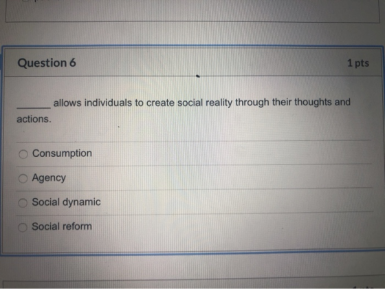 Question 6 1 pts allows individuals to create social reality through their thoughts and actions. Consumption Agency Social dy
