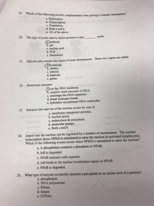 Which of the following involve complementary base pairing to transfer information? 19. a. Replication. b. Transcription. c. T
