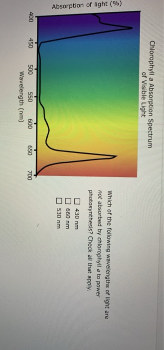 Chlorophyll a Absorption Spectrum of Visible Light Absorption of light (%) Which of the following wavelengths of light are no