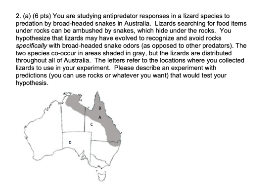 2. (a) (6 pts) You are studying antipredator responses in a lizard species to predation by broad-headed snakes in Australia.