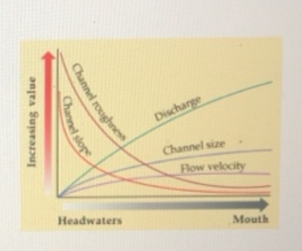 Increasing value Channel rouches ChO Discharge Channel size Flow velocity Headwaters Mouth