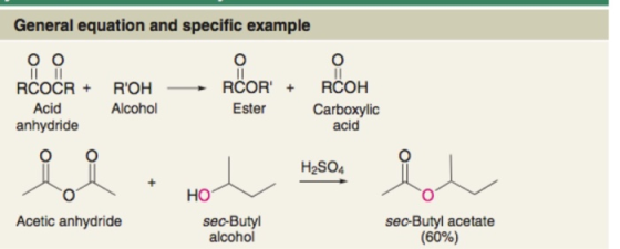 General equation and specific example ОО RCOCR + ROH — Acid Alcohol anhydride RCOR + RCOH Ester Carboxylic acid lor. Hol 19