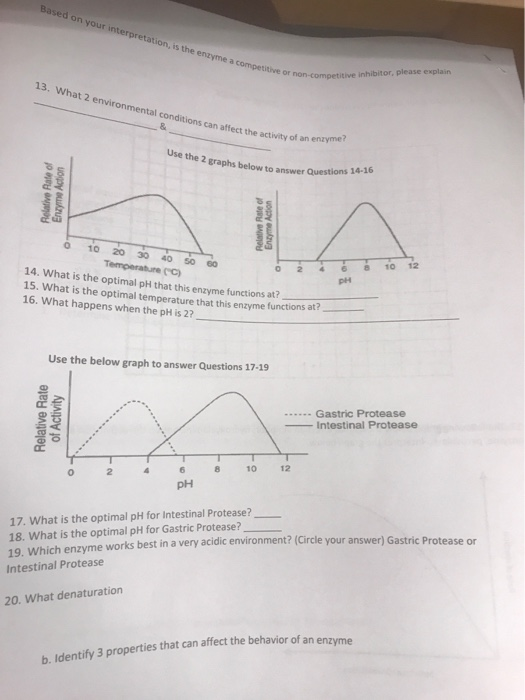 Based on your interpretation, is the enzyme a competitive non-competitive inhibitor, please explain 13. What 2 environmental