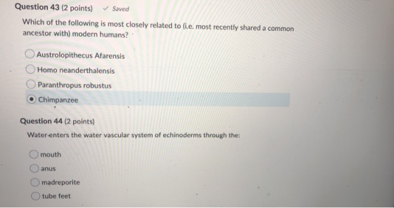 Question 43 (2 points) Saved Which of the following is most closely related to (i.e. most recently shared a common ancestor w