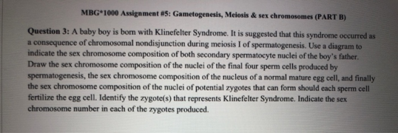 MBG 1000 Assignment #5: Gametogenesis, Melosis & sex chromosomes (PART B) Question 3: A baby boy is bom with Klinefelter Synd
