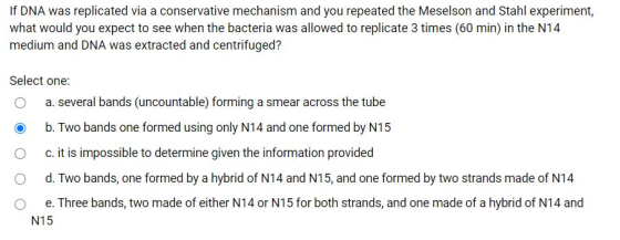 If DNA was replicated via a conservative mechanism and you repeated the Meselson and Stahl experiment, what would you expect