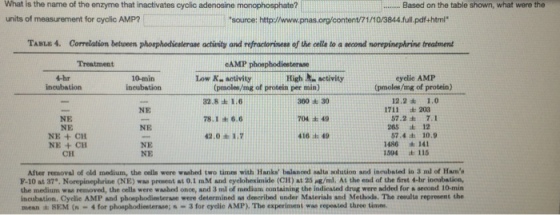What is the name of the enzyme that inactivates cy