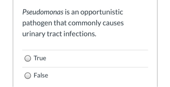 Pseudomonas is an opportunistic pathogen that commonly causes urinary tract infections. True False