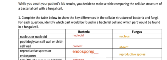 While you await your patients lab results, you decide to make a table comparing the cellular structure of a bacterial cell w