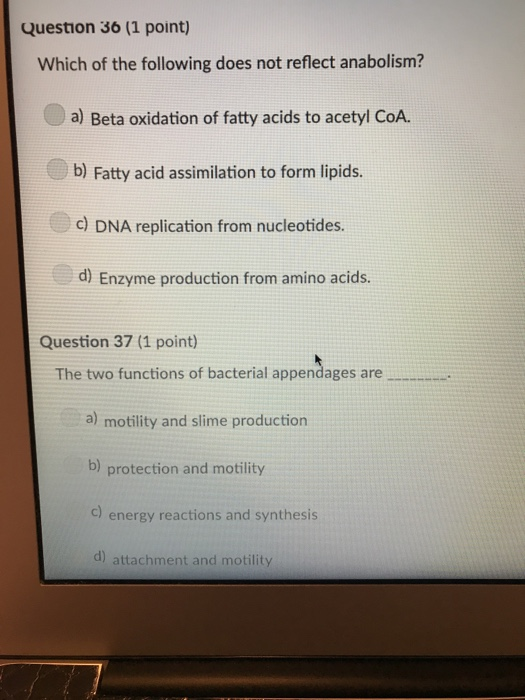 Question 36 1 Point Which Of The Following Does Not Reflect Anabolism 