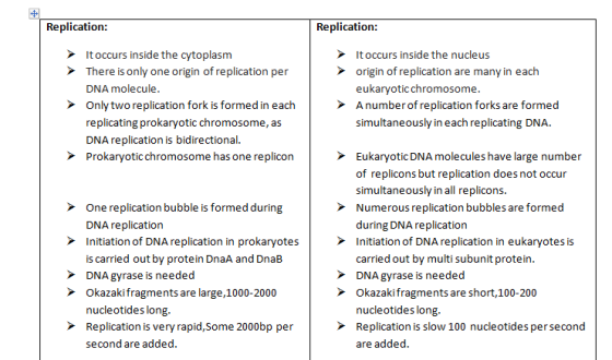 Replication Replication: It occurs inside the cytoplasm Itoccurs inside the nucleus There is only one origin of replication p