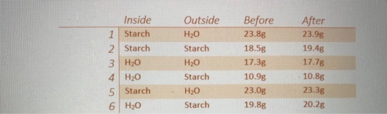 InsideOutside 1 Starch 2 Starch 3 H20 4 H20 5 Starch 6 H20 H20 Starch H2O Starch H20 Starch Before 23.8g 18.5g 17.3g 10.9g 23.0g 19.8g After 23.9g 19.4g 17.7g 10.8g 23.3g 20.2g