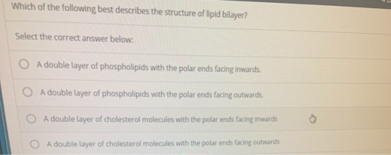 Which of the following best describes the structure of lipid bilayer? Select the correct answer below. O A double layer of ph