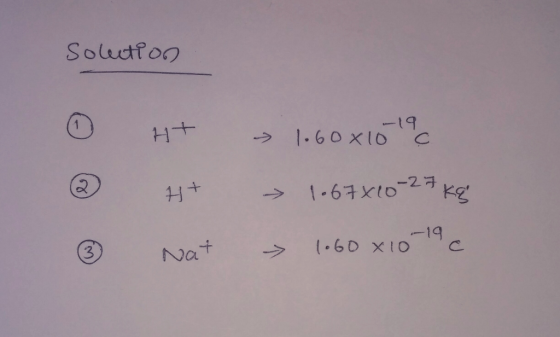 Solutroo 19