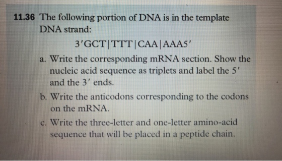 11.36 The following portion of DNA is in the template DNA strand: 3 GCT] TIT | CAA | AAAS , a. Write the corresponding mRNA section. Show the nucleic acid sequence as triplets and label the 5 and the 3 ends. b. Write the anticodons corresponding to the codons on the mRNA c. Write the three-letter and one-letter amino-acid sequence that will be placed in a peptide chain.
