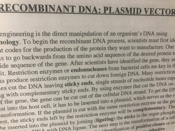 RECOMBINANT DNA: PLASMID VECTOR engineering is the direct manipulation of an organisms DNA using nology. To begin the recomb