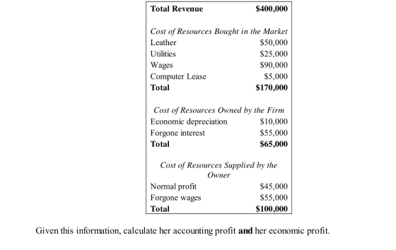 Total Revenue $400,000 Cost of Resources Bought in the Market Leather $50,000 Utilities $25,000 Wages $90,000 Computer Lease