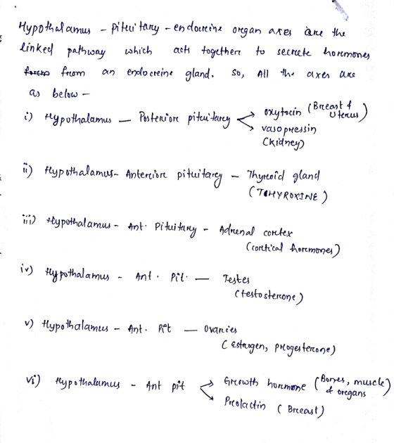 shich ach together secek honmn are^ are hur frum an endo crein, gland. So, All Q> below - Cumu) Ckidnej) ynerchr pikui ary Thynteid gland Ctesto sterone) Bors, musce th hormene * organs