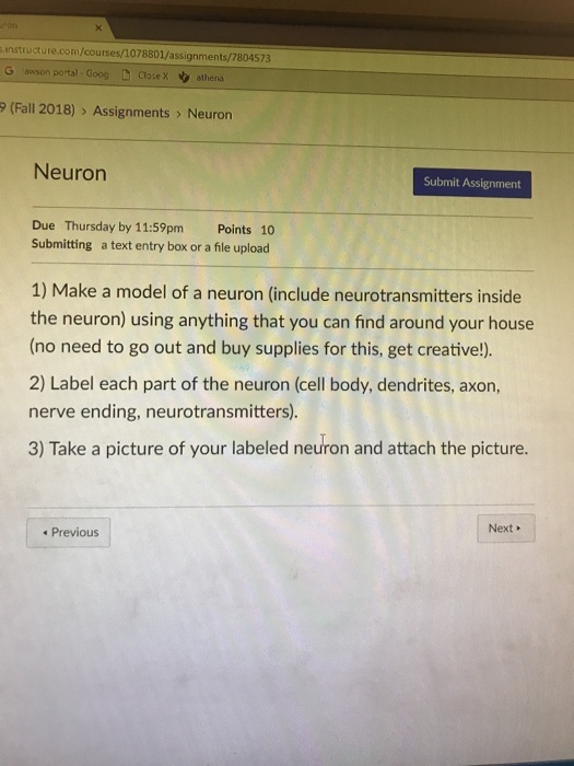 .instructure.com/courses/1078801/assignments/7804573 awson portal- Goog CloseX athena 9 (Fall 2018) Assignments > Neuron Neuron Submit Assignment Due Thursday by 11:59pm Points 10 Submitting a text entry box or a file upload 1) Make a model of a neuron (include neurotransmitters inside the neuron) using anything that you can find around your house (no need to go out and buy supplies for this, get creative!). 2) Label each part of the neuron (cell body, dendrites, axon, nerve ending, neurotransmitters). 3) Take a picture of your labeled neuron and attach the picture. Previous Next