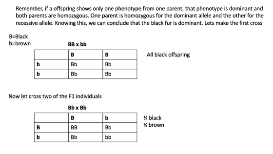 Remember, if a offspring shows only one phenotype from one parent, that phenotype is dominant and both parents are homozygous