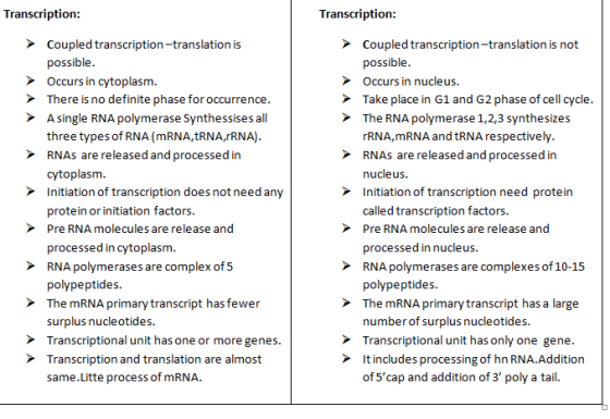 Transcription Transcription Coupled transcription-translation is possible Occurs in cytoplasm. There is no definite phase for