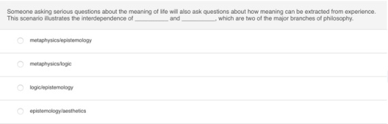 Someone asking serious questions about the meaning of life will also ask questions about how meaning can be extracted from experience. This scenario illustrates the interdependence of and , which are two of the major branches of philosophy. metaphysics/epistemology metaphysics/logic logiclepistemology O epistemology/aesthetics