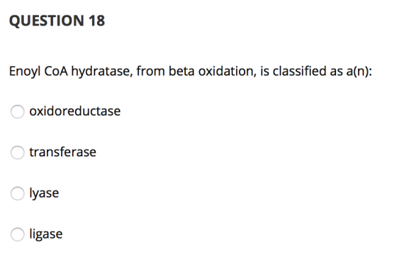 QUESTION 18 Enoyl CoA hydratase, from beta oxidation, is classified as a(n): O oxidoreductase O transferase Olyase O ligase