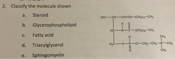 2. Classify the molecule shown a. Steroid b. Glycerophospholipid c. Fatty acid d. Triacylglycerol e. Sphingomyelin HO-CH-CH=CH-(CH2) 12-CH3 HC-N-C-(CH2)16-CH3 0 CHa H2Co-CH2-CH2-N CH3
