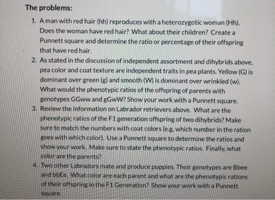 The problems: 1. A man with red hair (hh) reproduces with a heterozygotic woman (Hh). Does the woman have red hair? What abou