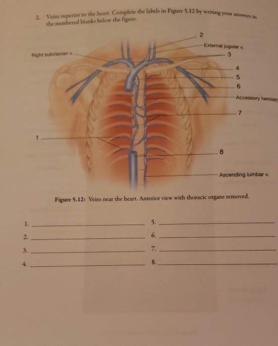 me 5.12 by writing your answers in 2 Veins superior to the heart. Complete the labels in Figure 5.12 by writin the numbered b