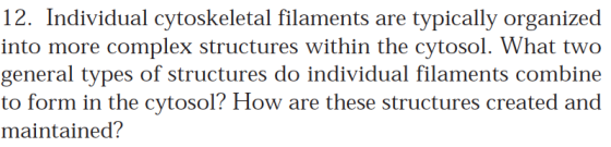 12. Individual cytoskeletal filaments are typically organized into more complex structures within the cytosol. What two gener
