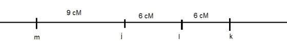 9 см 6 см 6 см