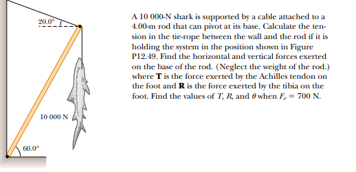 20.0 I- A 10 000-N shark is supported by a cable attached to a 4.00-m rod that can pivot at its base. Calculate the ten- sion