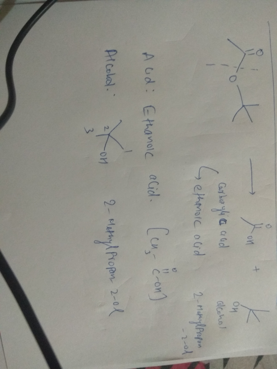 ои con Carboxyli ca and Sethanoic acid alcohol 2-Methylpropon -2-01 Aud: Ethanoic acid. [cu- cron] Alcold. aton 2-methylpropa