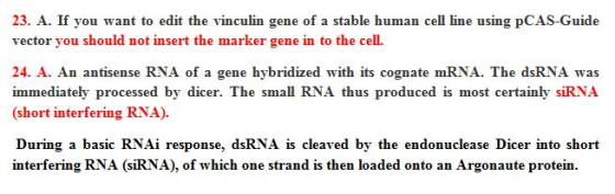 23. A. If you want to edit the vinculin gene of a stable human cell line using pCAS-Guide vector you should not insert the ma