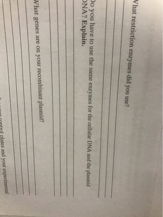 Vhat restriction enzymes did you use?! Do you have to use the same enzymes for the cellular DNA and the plasmid ONA? Explain.