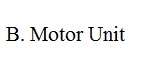 B. Motor Unit