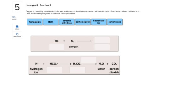 Hemoglobin function II Oxygen is carried by hemoglobin molecules, while carbon dioxide is transported within the interior of