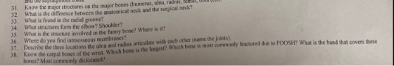 and the suprem us IUSS... 31. Know the major structures on the major bones (humerus, ulna, radius, Temui, tula (10). 32. What