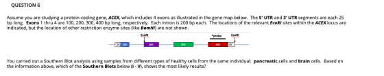 QUESTION 6 Assume you are studying a protein-coding gene, ACEX, which includes 4 exons as illustrated in the gene map below.